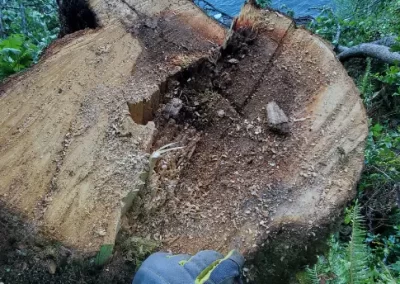 Top Excavation Service